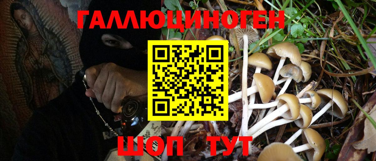 Можга  Галлюциногенные грибы Psilocybine cubensis  Вход с VPN  Псилоцибиновые грибы мухоморы 