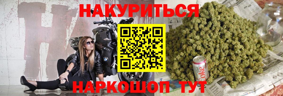 Марихуана сатива Можга